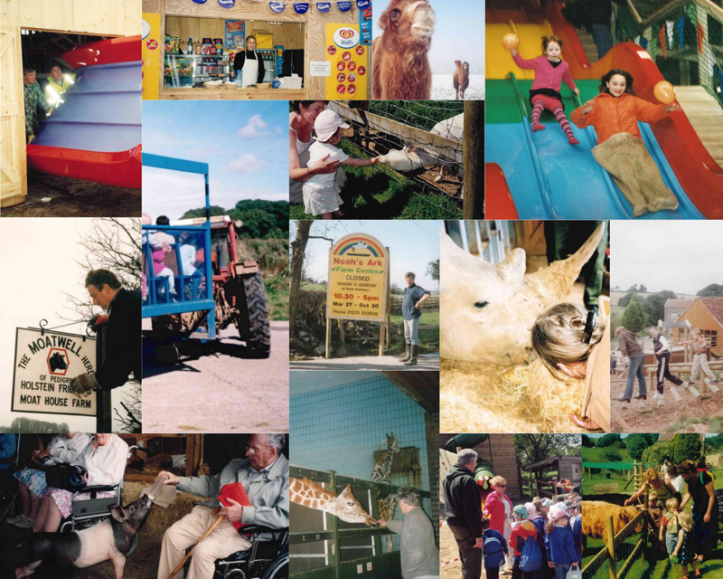 Brown Colorful Travel Photo Collage