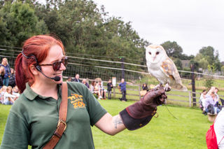 Zoe And Barn Owl Bella