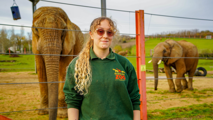 Female Elephant Keeper Hannah, wearing sunglasses and her Noah's Ark Zoo Farm uniform, with African Elephants Janu and Sutton in the background.
