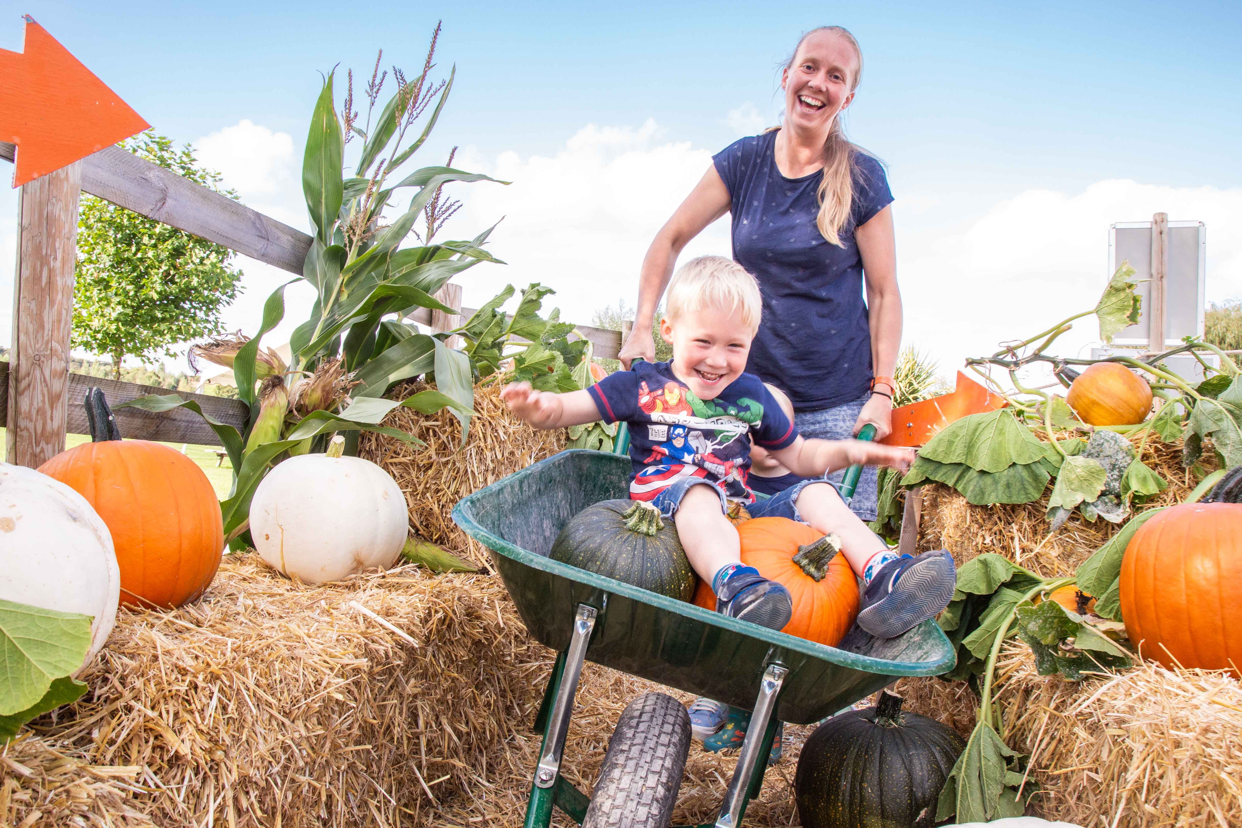 Pumpkin Patch At Pumpkin Fest 2021, Noah's Ark Zoo Farm Doug Evens