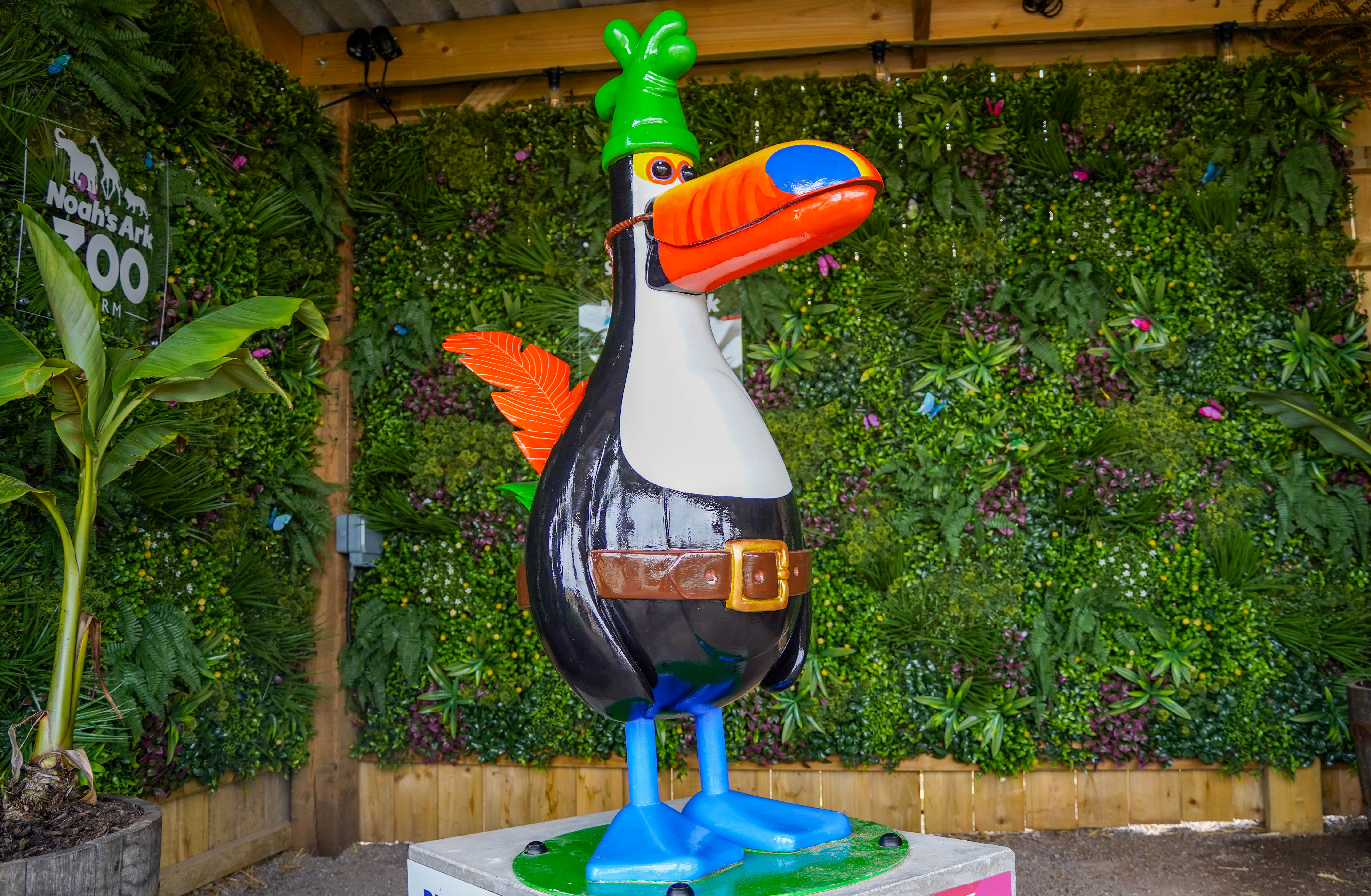 Toucantangofeathersmcgraw2025. (9 Of 65)