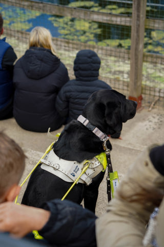 Assistancedogatelephanttalk2025