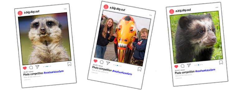 Instagram 3