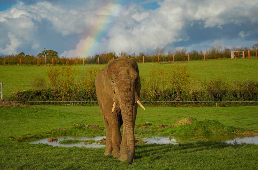 Screenshot 2026 03 12 092344