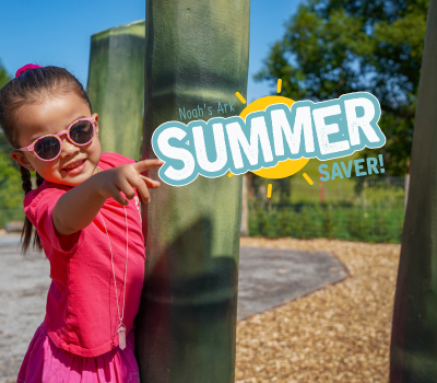Girl in pink top, wearing pink sunglasses pointing towards graphic which says 'Summer saver'