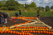 Nazfpumpkinmosaic1 (3 Of 3)