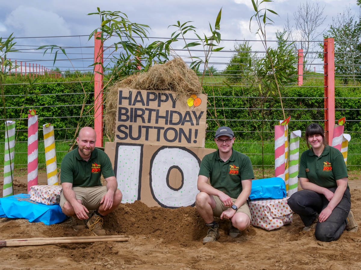 Sutton10thbirthday06.05.24 (4 Of 17)