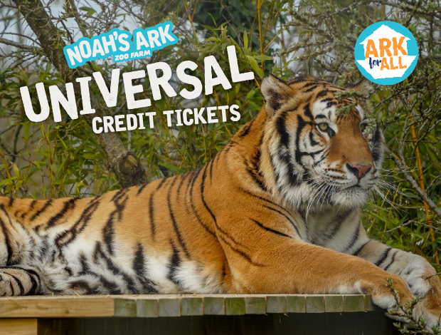 Universal Credit Tickets Aqua