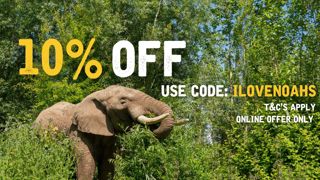10% Off Noah's Ark 2024