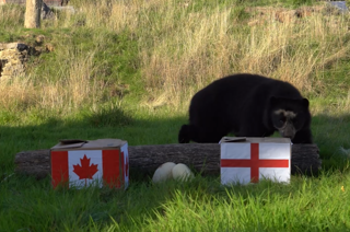 Screenshot 2025 10 03 105715