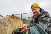 Capybaraencounterseptember2026 (7 Of 26)