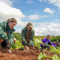 Two female Noah's Ark Zoo Farm staff members plant pumpkin plants in a field with two female Ripple Effect staff members 
