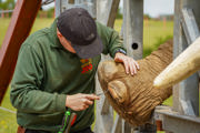 Keeper cleaning elephants foot. 