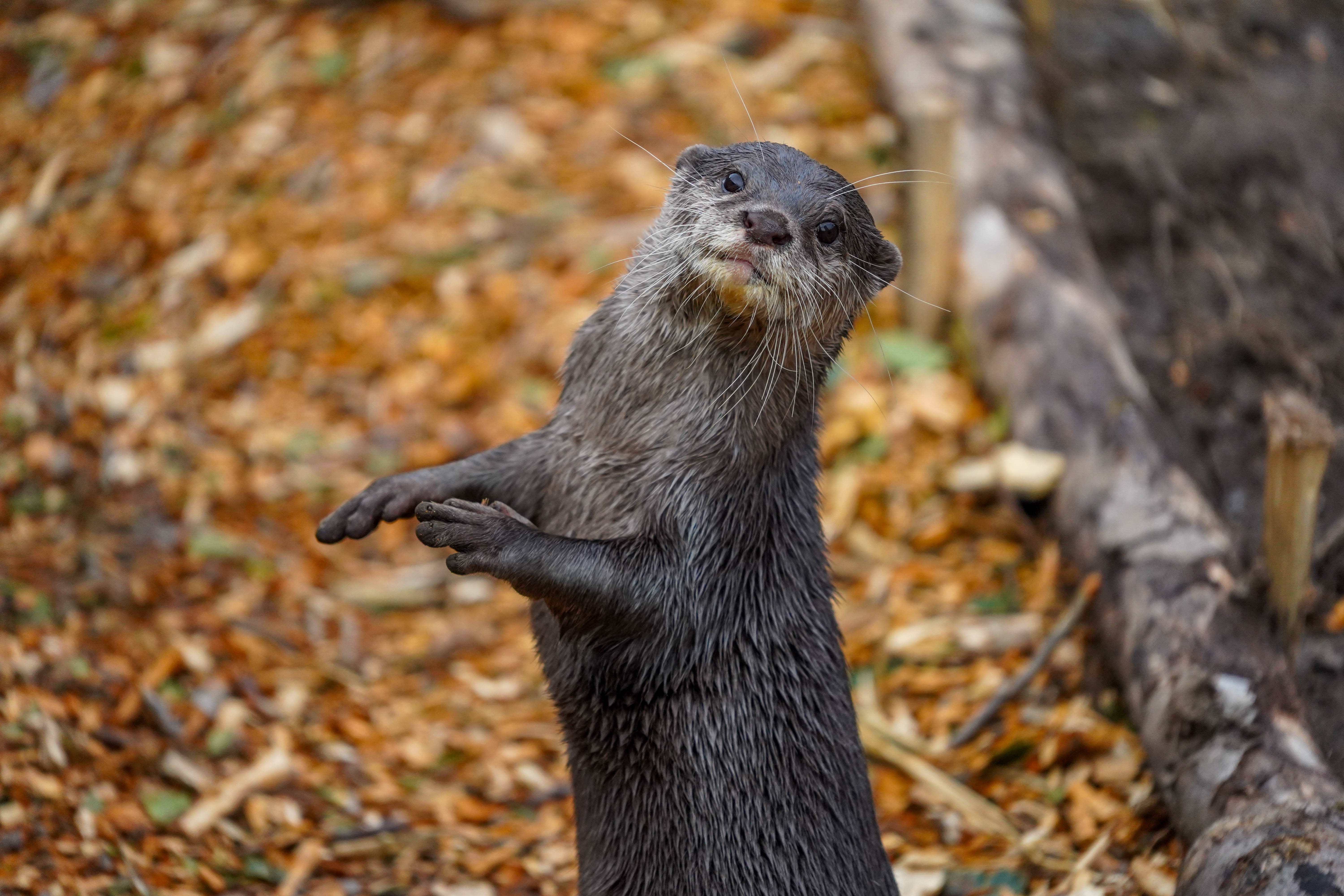 Lloydotterfeb2025 (27 Of 28)