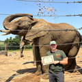 Elephant keeper Connor stands in front of African Elephant holding his certificate 