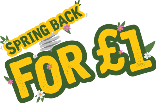 'Spring back for £1' yellow and green text with flowers and a spring.