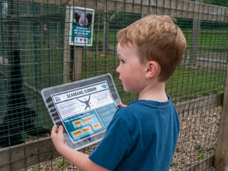 Gibbonpublicengagement24.07.24 (3 Of 8)