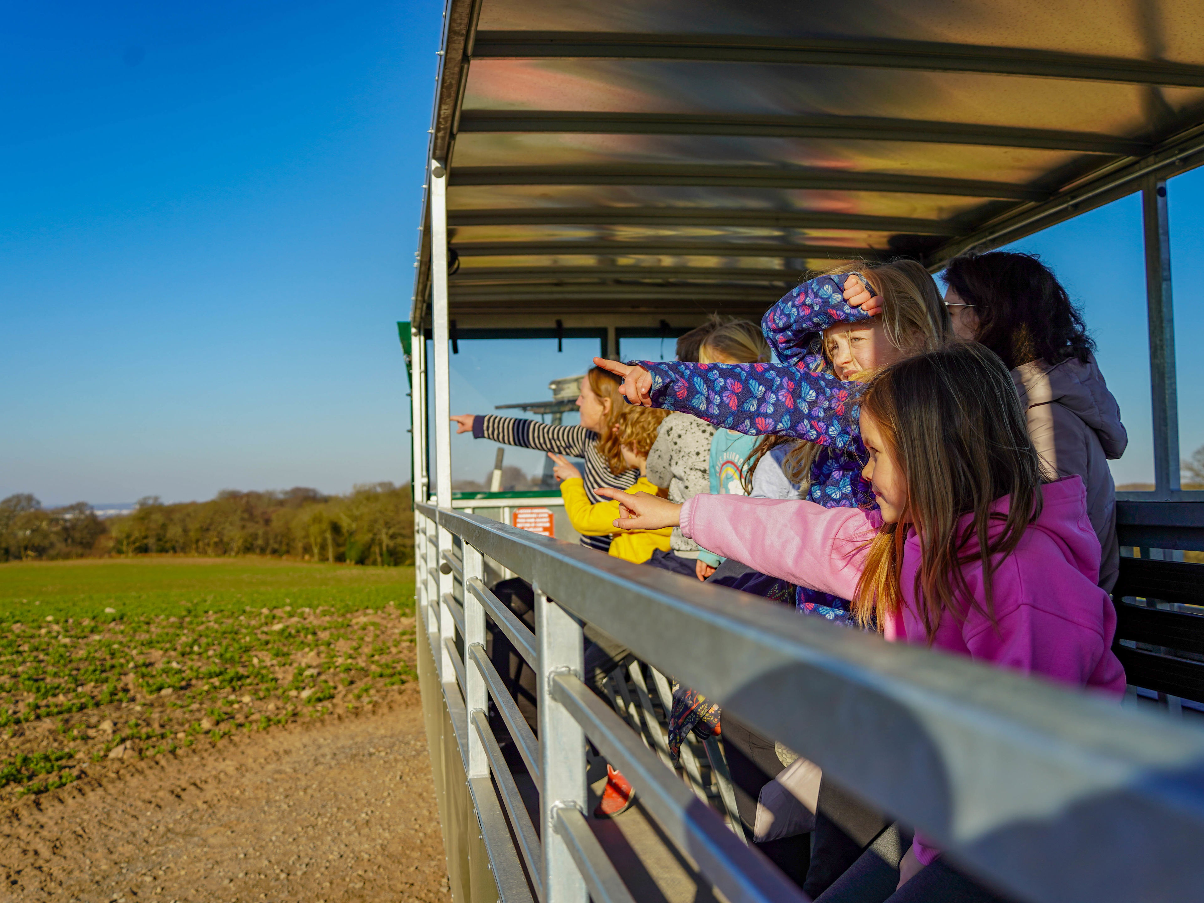 Farm Themed Rides Tractor Ride