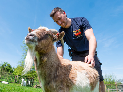 Volunteering Noah's Ark Zoo Farm 3