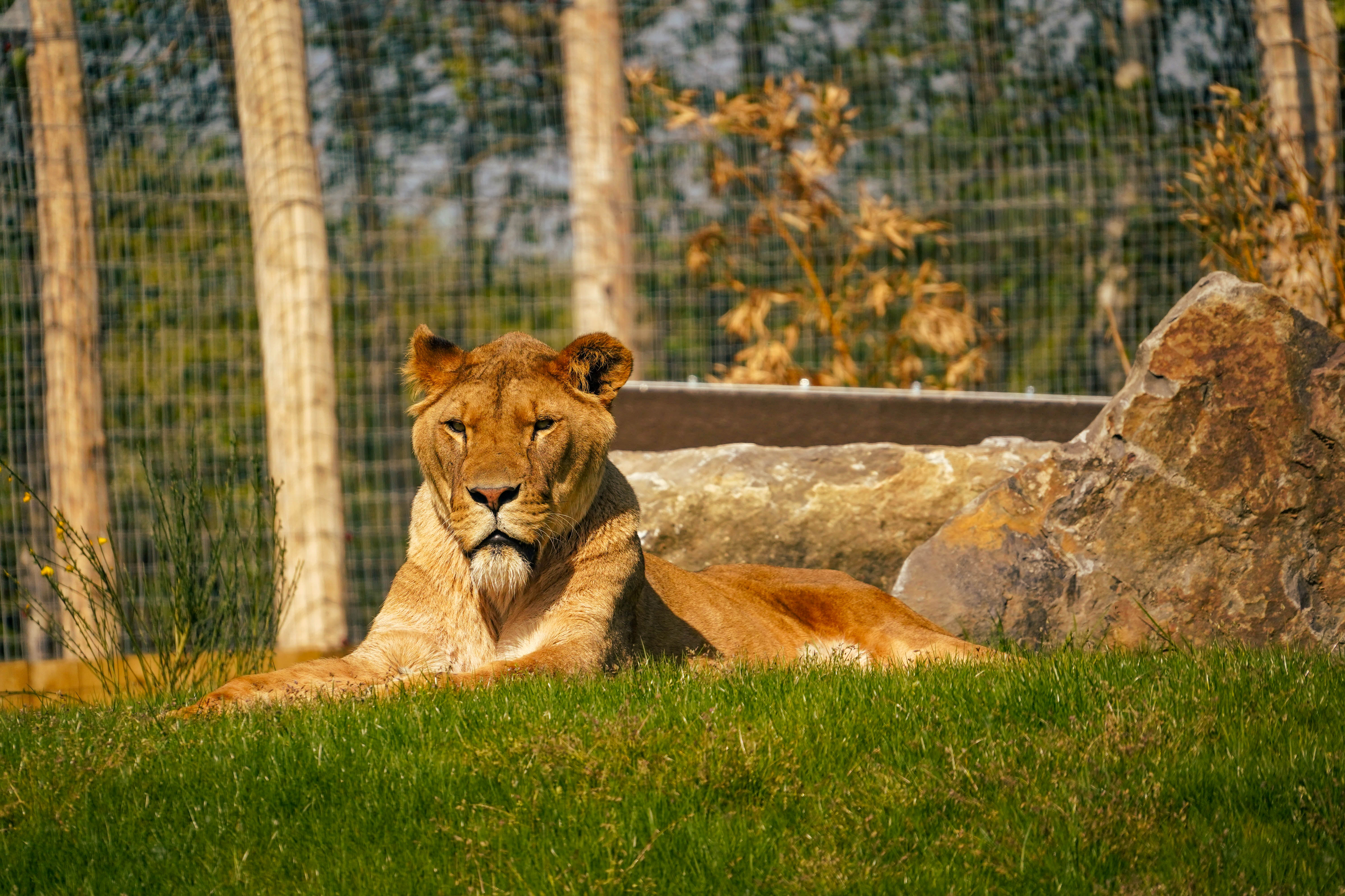 Taulioncolourgraded 1 Of 2 (1)