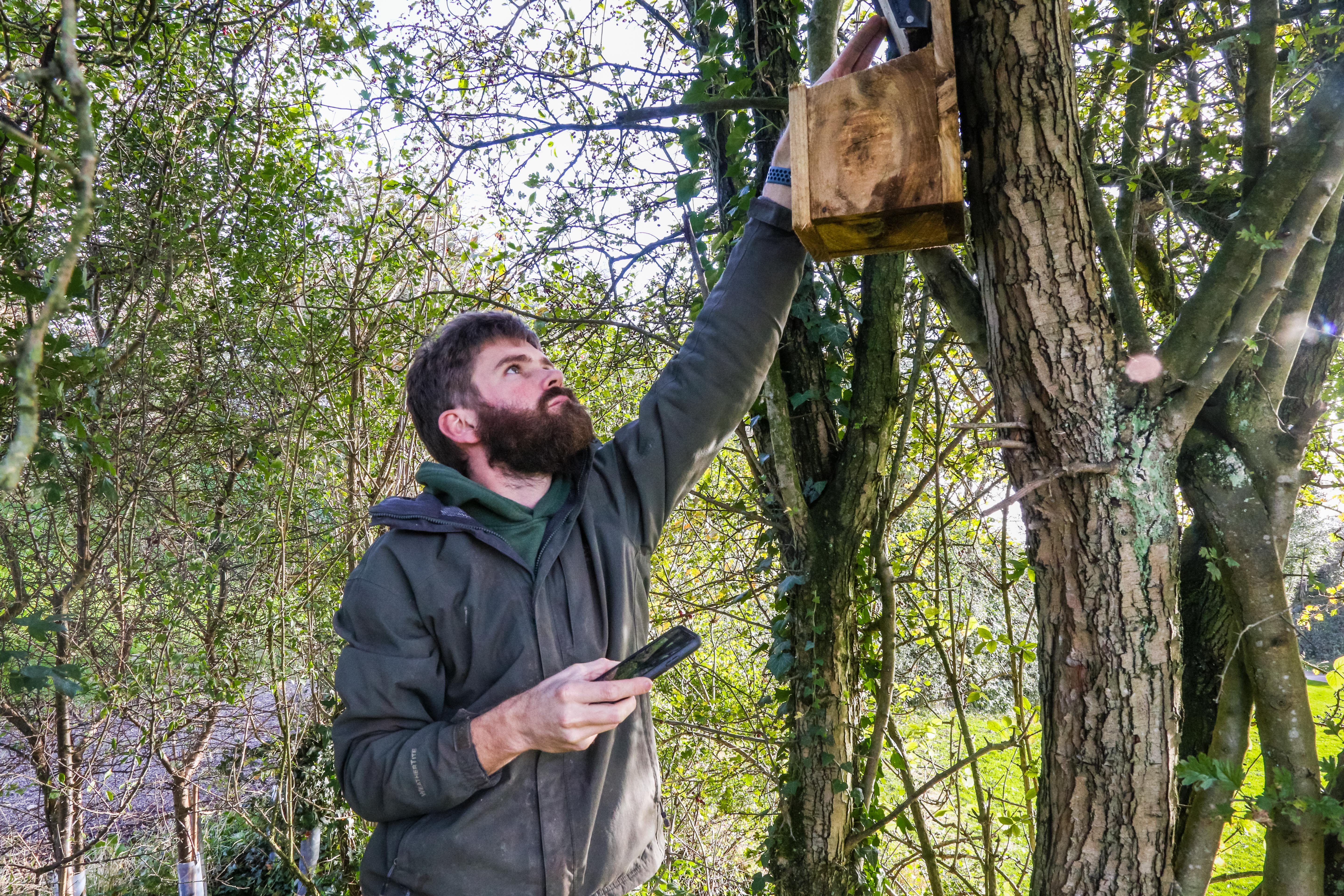 Keeper Cormack Warwick Inspecting One Of Their Animal Section Nest Boxes Noahs Ark Zoo Farm Doug Evens