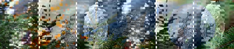 News Strip Image Template Wonky Tree