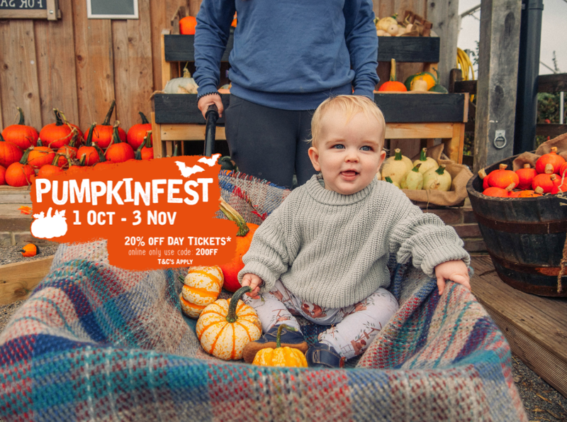 Noahsarkpumpkinfest