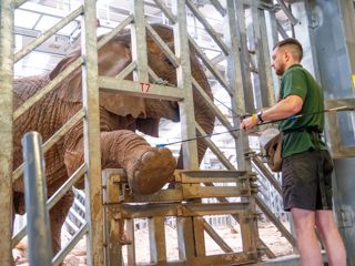 TomElephantKeeper