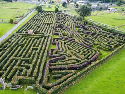 Maze Drone 1