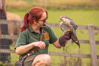 Zoe And Falcon