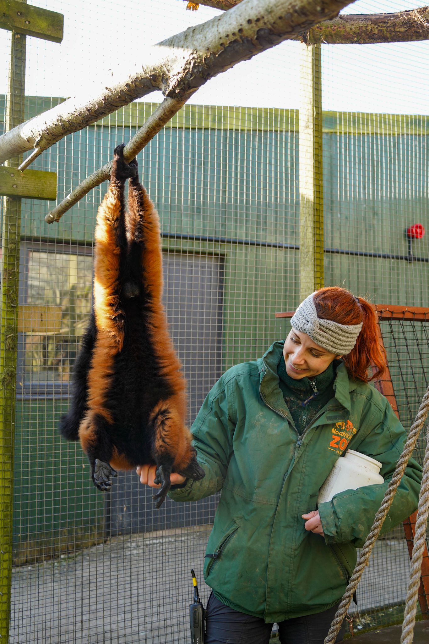 Keeper Shelly with Red Ruffed Lemur