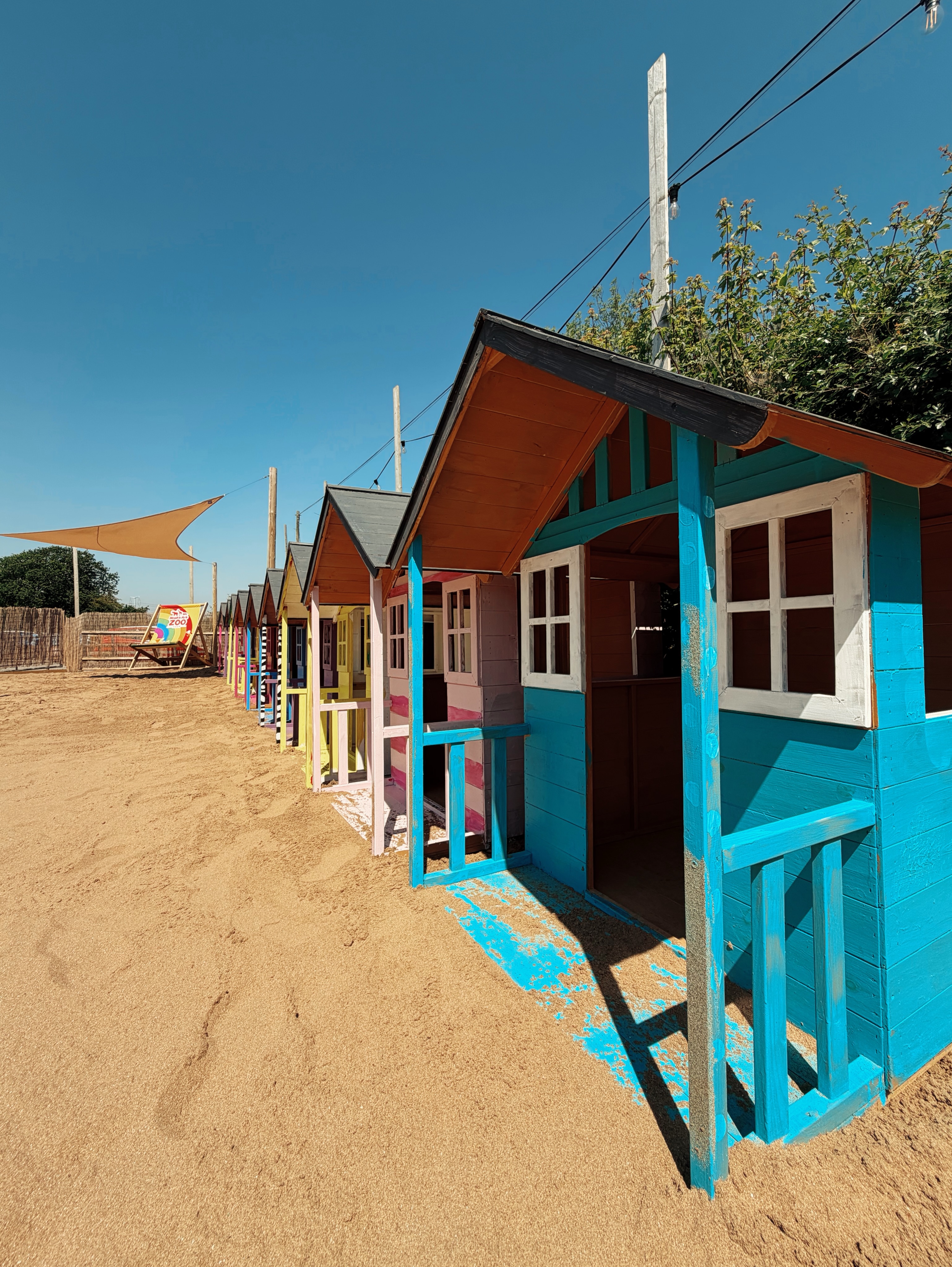 Noah's Bay Picture