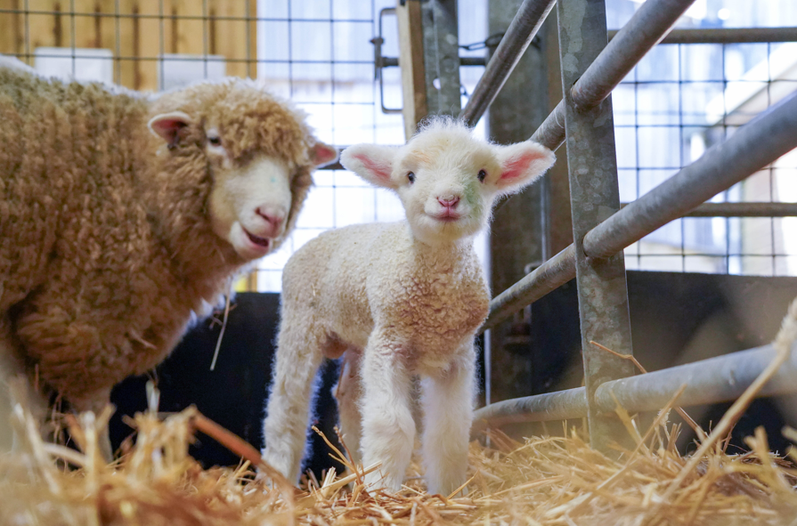 Screenshot 2026 03 12 142549