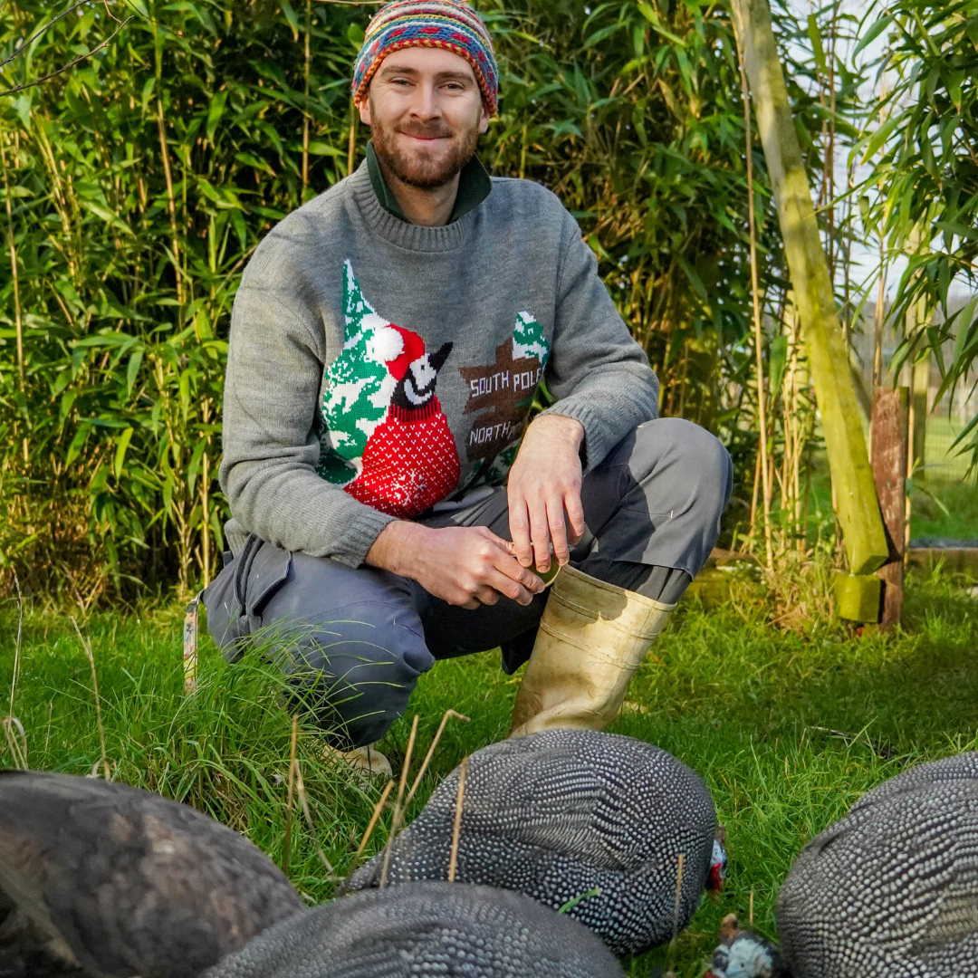 Male Birds of Prey keeper kneels and poses for photograph in his Christmas Jumper with Guinea Fowl. 