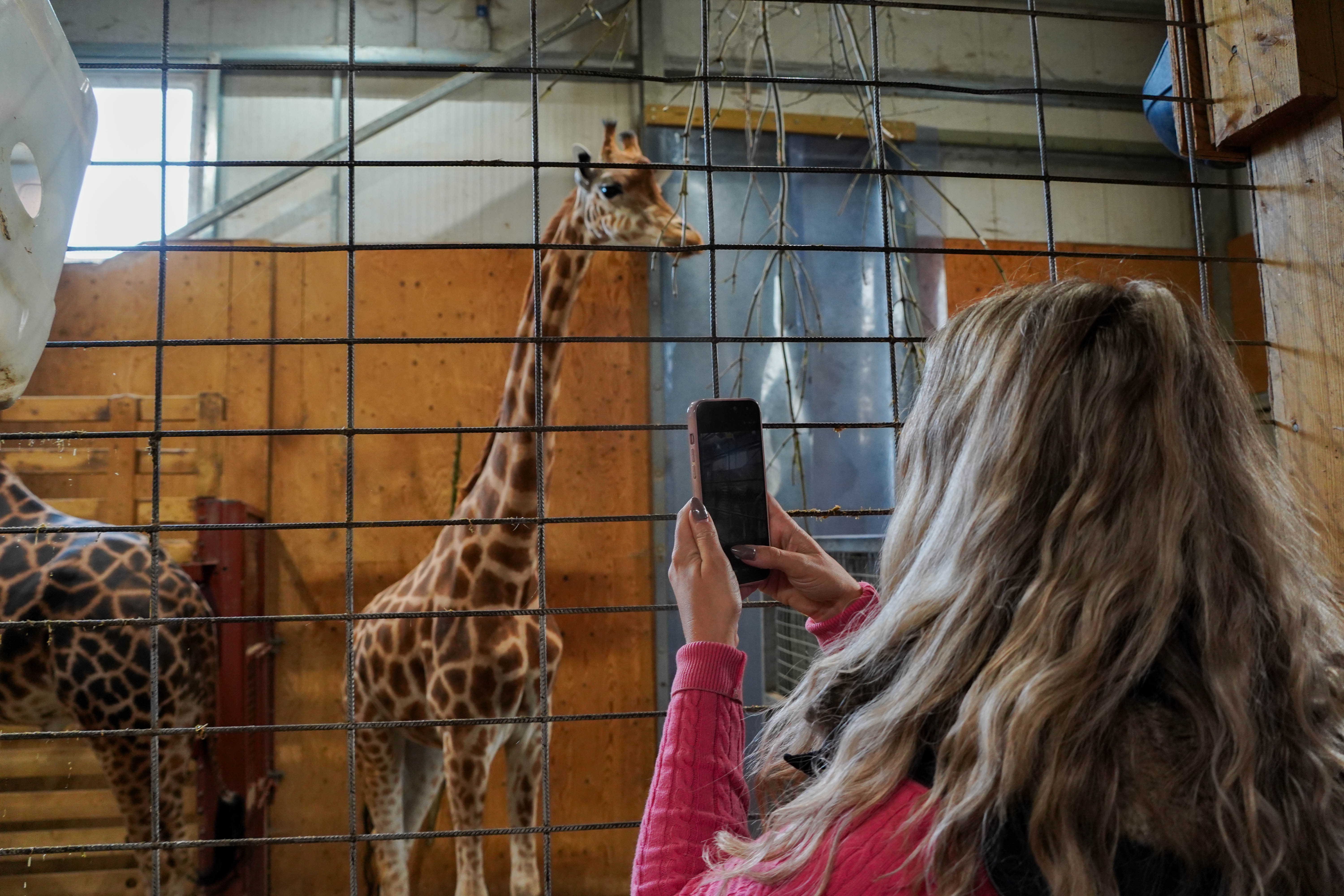 Giraffeandrhinoexperience2026 (18 Of 39)