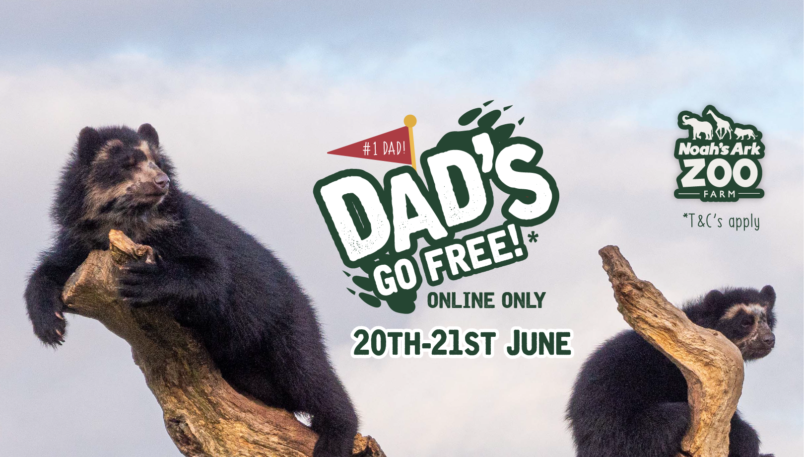Dads Go Free Web Banner Desktop