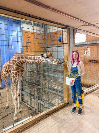 Giraffe & Rhino Encounter 5