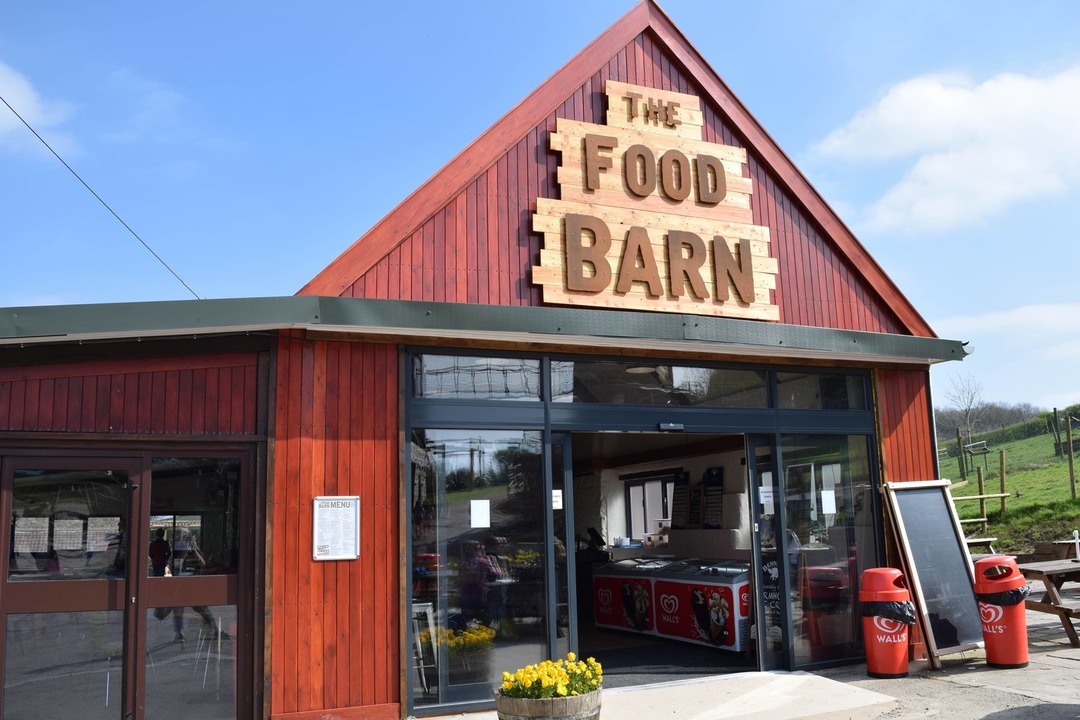 Food Barn Noah's Ark Zoo Farm