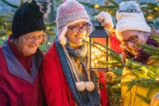 Over 70S Go Free Promotion