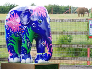 Elephant Parade