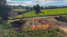 Nazfpumpkinmosaic (3 Of 3)