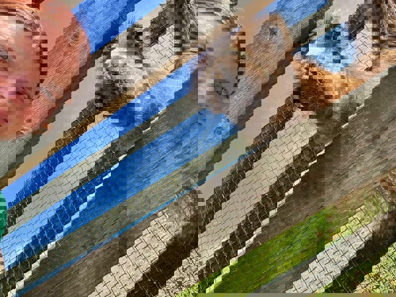 Nelkeepercameraroll (3)