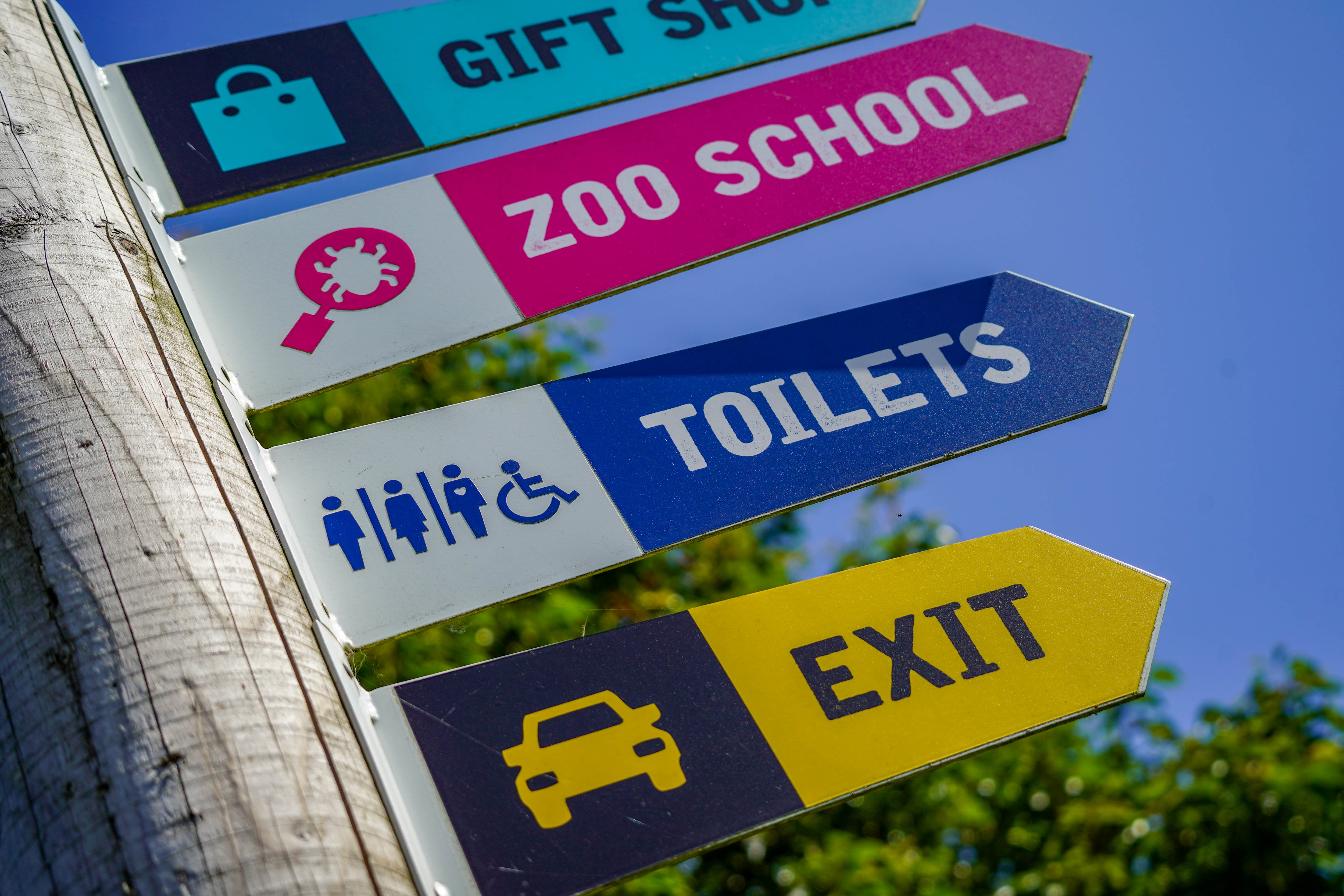 Four arrows pointing to the gift shop, zoo school, toilets and exit