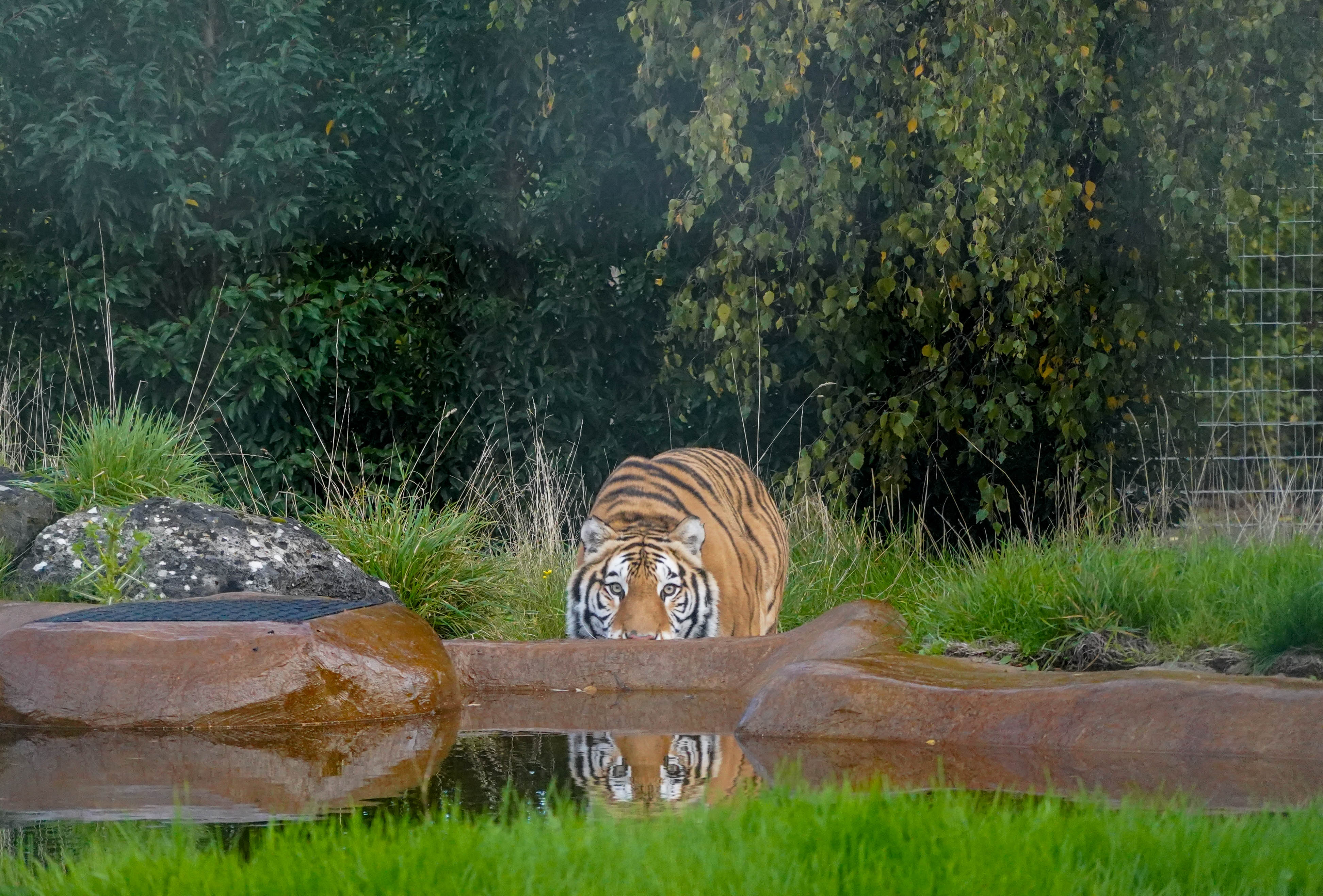 Aquaarrivaloctober2025 1 Of 6