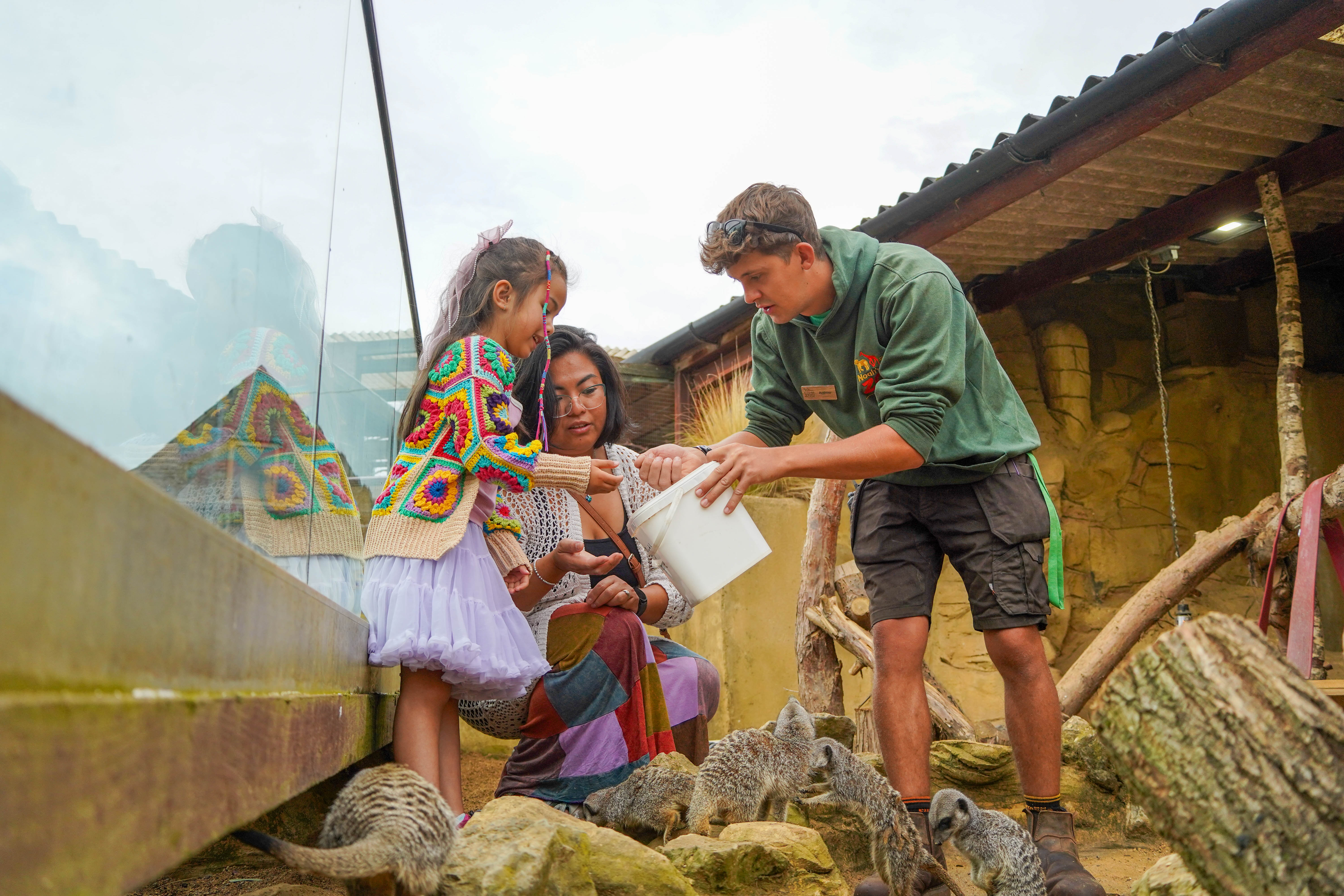A young girl with her mother and a male Noah's Ark Zoo Farm keeper in the meerkat habitat 
