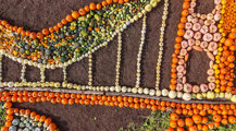 Nazfpumpkinmosaic (1 Of 3)
