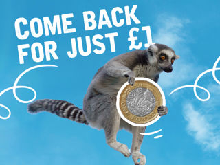 Digi Return From £1