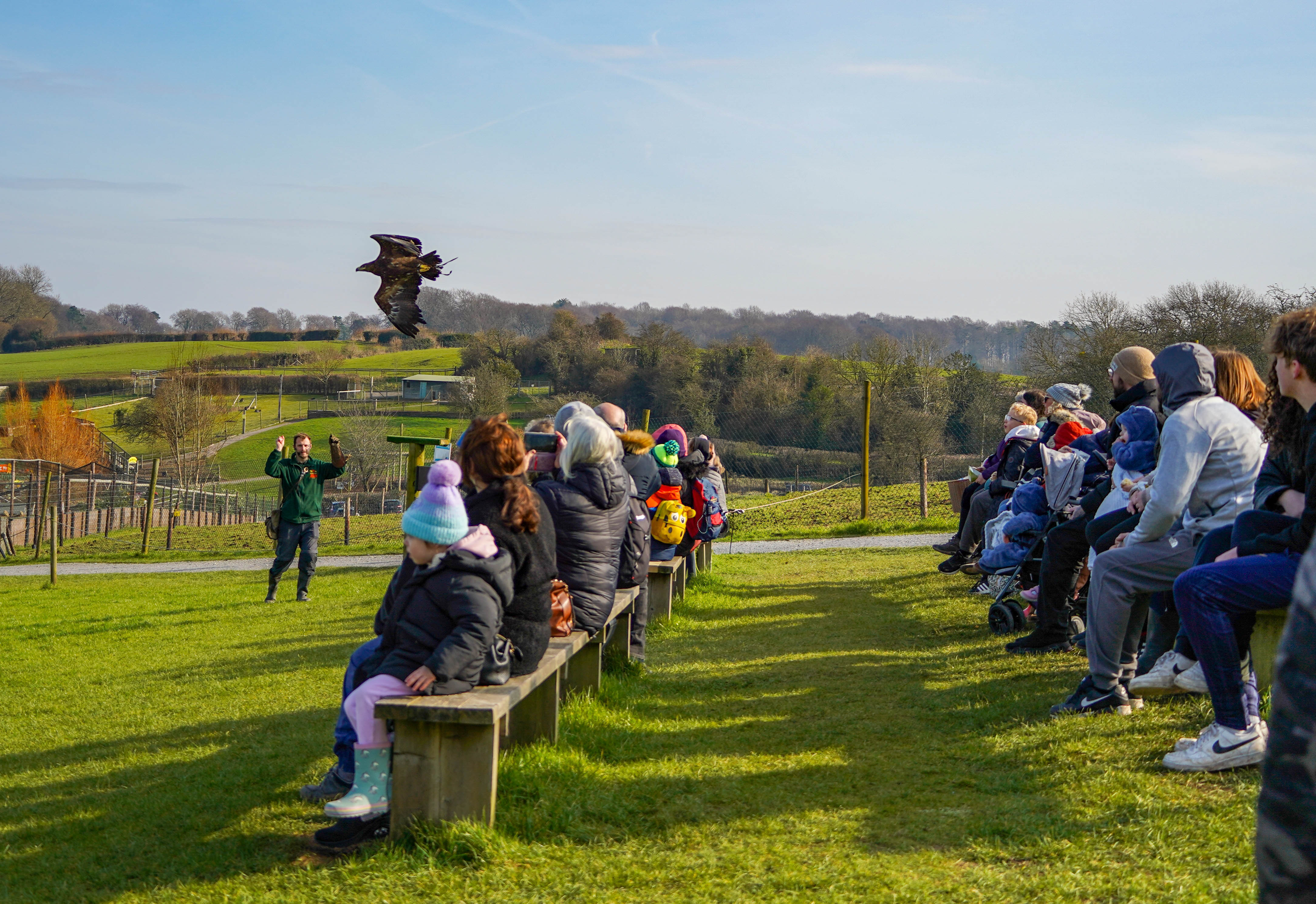 Bopdisplayfeb 1 Of 1