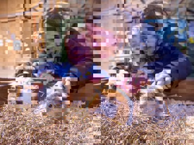2B8A9859 Enhanced NR