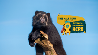 Half Term Website Header! (2)
